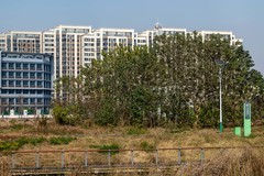 庐州印象（536）关镇河