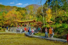 黄山塔川风景 3