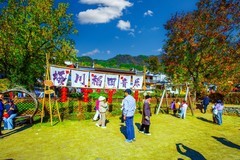 黄山塔川风景 3