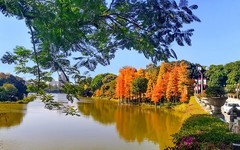 [26072] 麓湖公园