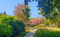 [26073] 华南植物园