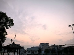 漫步星城 （997）新年新气象