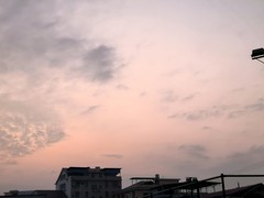 漫步星城 （997）新年新气象