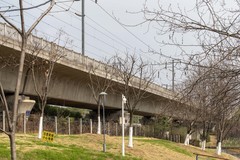 庐州印象（596）