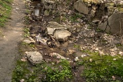 庐州印象（596）