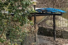 庐州印象（596）