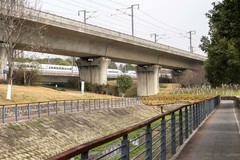 庐州印象（597）