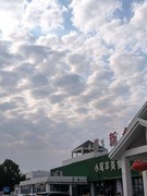 2026春节皖浙赣（154）新余服务区