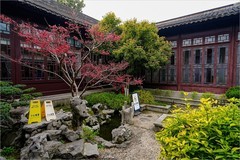 2026年第0371贴 -南京总统府花园旅拍（0529）