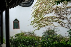 2026年第0372贴 -南京总统府花园旅拍（0529）
