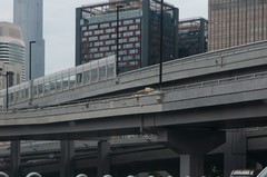 练手