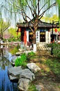【视觉光影】随 拍 （19）