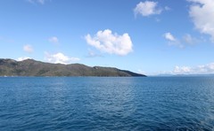 游船上的随拍（二）