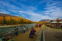 北疆禾木村风景31