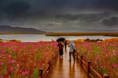 新疆可可苏里风景