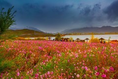 新疆可可苏里风景
