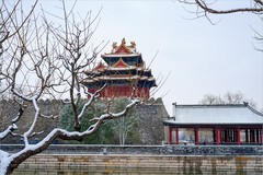 2026年第0169贴-故宫角楼纪实旅拍（0306）