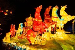 庆佳节--圆明园灯会之三（完）