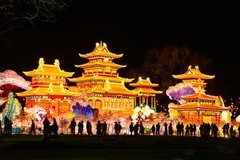 庆佳节--圆明园灯会之三（完）