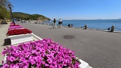 立 夏 的 棒 棰 岛 国 宾 馆 和 迎 宾 路 （ 四 ）