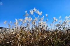 安徽宁国市皖南川藏线青龙湖花林畈随拍五