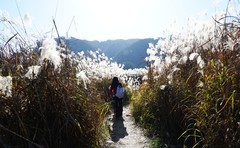 安徽宁国市皖南川藏线青龙湖花林畈随拍五