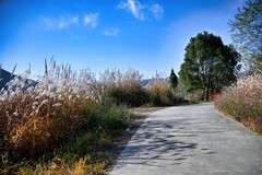 安徽宁国市皖南川藏线青龙湖花林畈随拍五