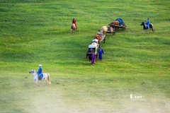 牧人迁徙（45）