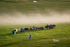 牧人迁徙（45）