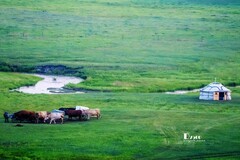 牧人迁徙（45）