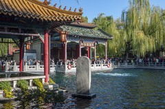 济南趵突泉第46届金秋菊展-19