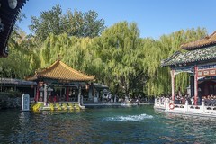 济南趵突泉第46届金秋菊展-19