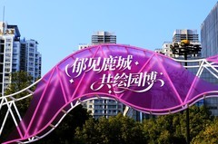 马鞍池公园郁金香花展 (5)