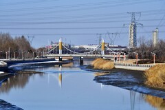 城市周边寻找春天的讯息