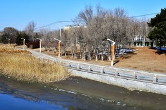 城市周边寻找春天的讯息