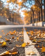 初冬的色彩【手机图】