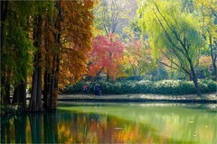 2025年第0840贴-无锡鼋头渚风光旅拍（1207）