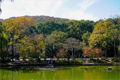 2025年第0840贴-无锡鼋头渚风光旅拍（1207）