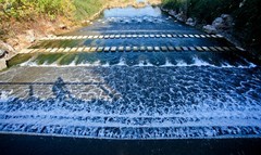 济南——龙鼎滨水公园风光（四）