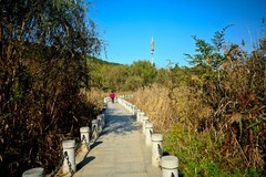 济南——龙鼎滨水公园风光（四）