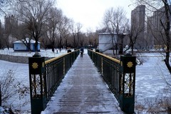 雪后人民公园（3）