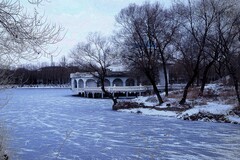 雪后人民公园（3）