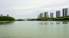 秋水蒲河