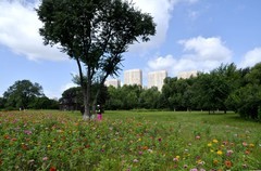 江滨公园——江心岛（8）