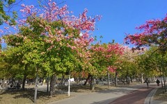 公园随拍 （5）