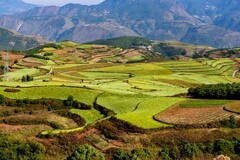 大地调色板 · 东川红土地（三）
