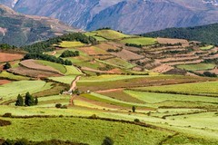 大地调色板 · 东川红土地（三）