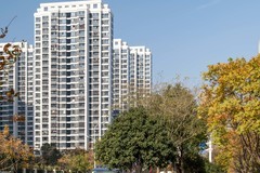 庐州印象（538）大圩镇