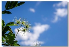 七星台景色（十二）