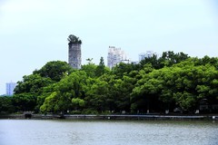 江心屿风光 (6)